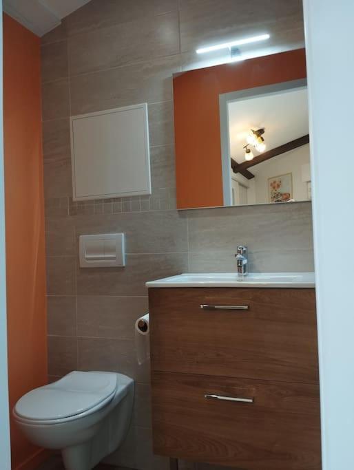 Le Nid Douillet De L'Hypercentre Apartment Toulouse Exterior photo